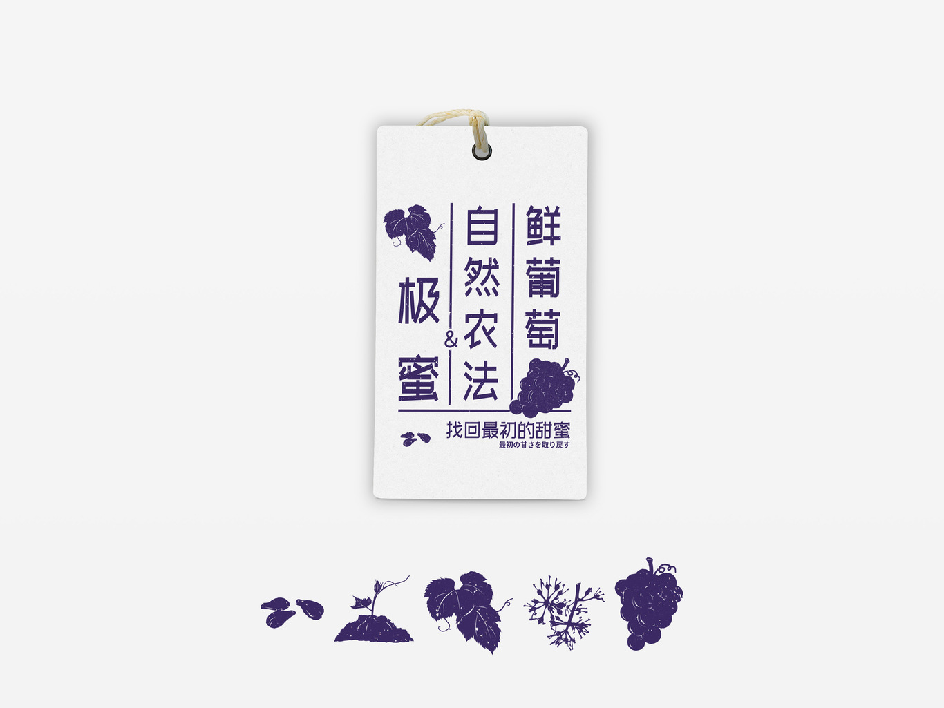 福安葡萄包裝生鮮外箱設計圖5