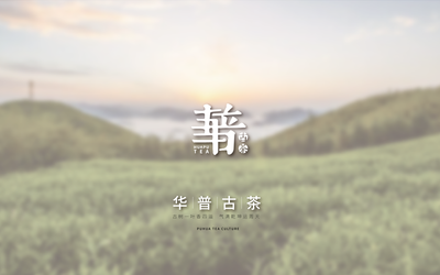 華普古茶方案設(shè)計(jì)