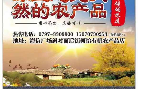 广告设计
