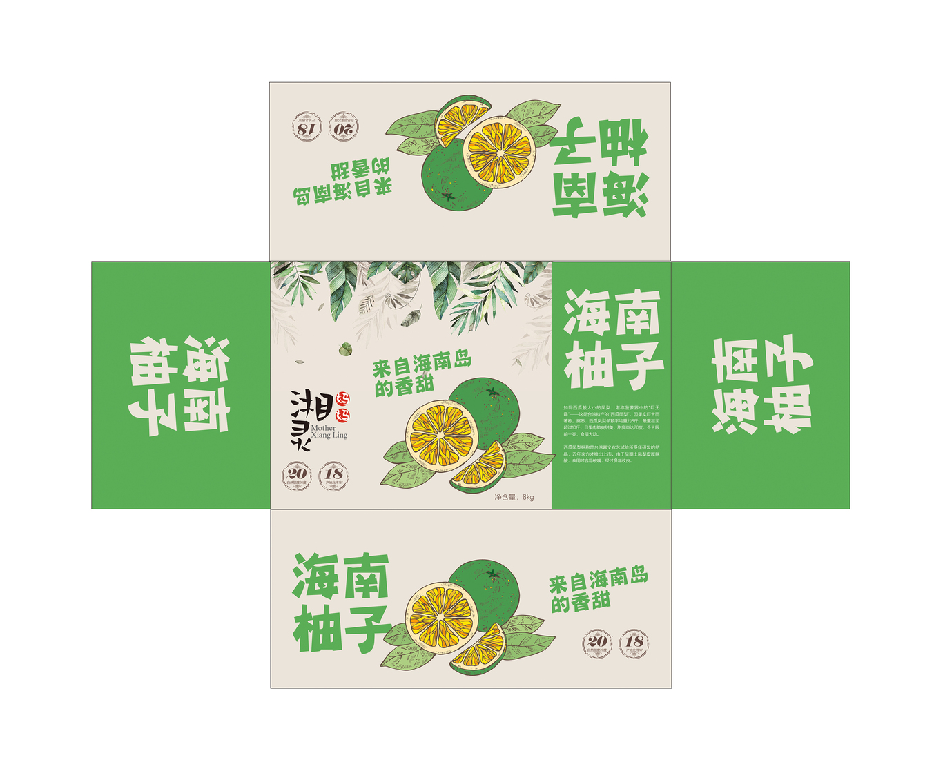 湘靈媽媽水果包裝設(shè)計(jì)圖3