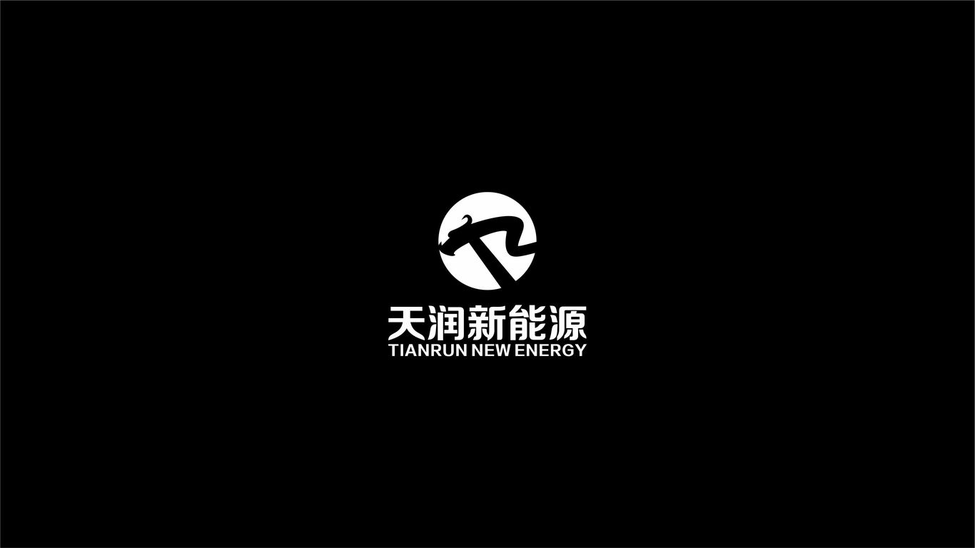 天润新能源公司LOGO设计中标图2