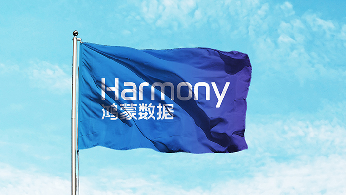 山东鸿蒙数据科技品牌标识设计图6