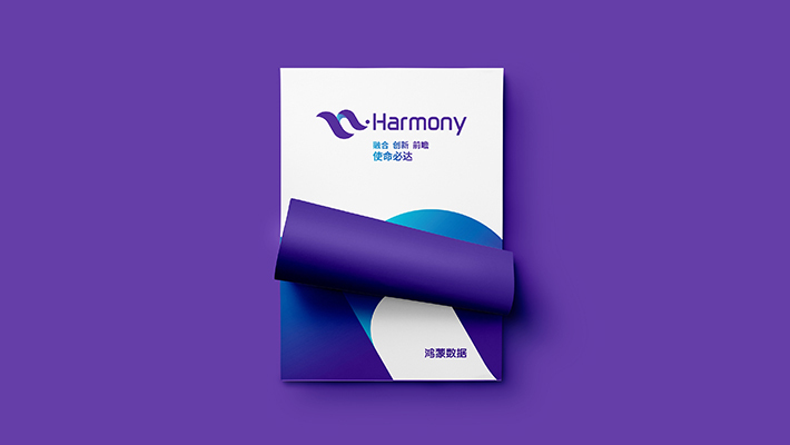 山东鸿蒙数据科技品牌标识设计图2