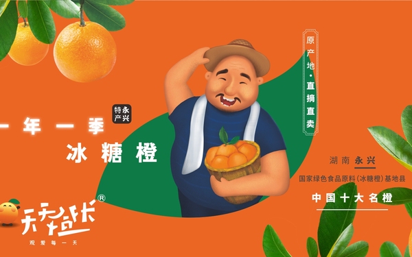 天天橙長(zhǎng) 農(nóng)產(chǎn)品品牌形象設(shè)計(jì)