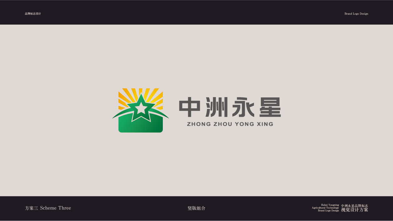 中洲永星logo创意提案图25