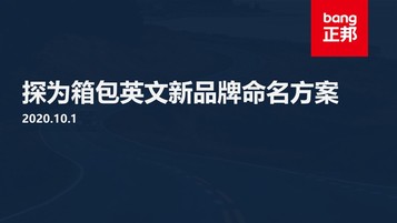 探为箱包企业名中英文命名