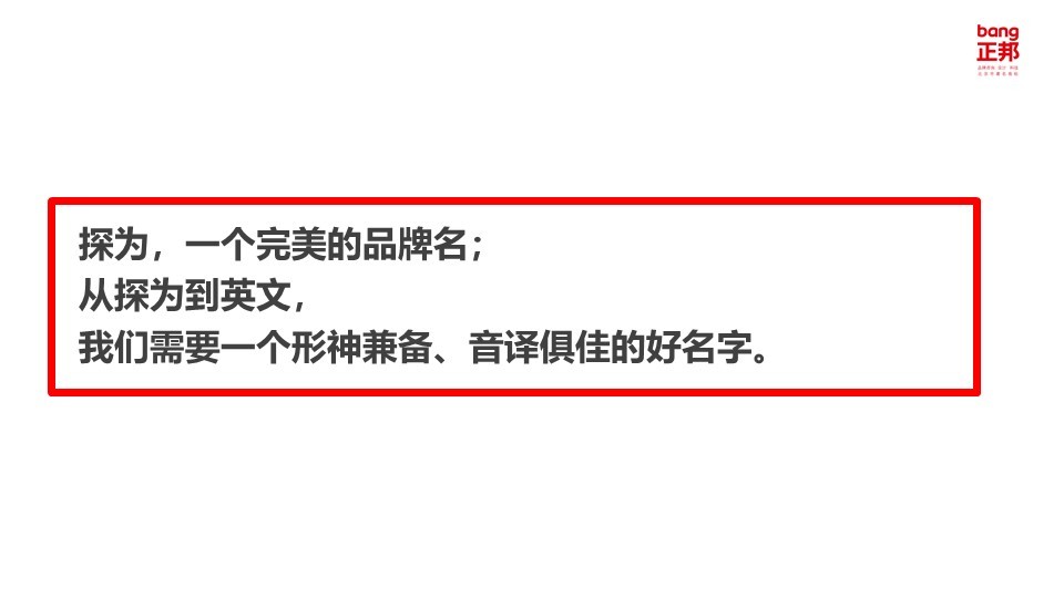 探為箱包企業(yè)名中英文命名中標(biāo)圖4