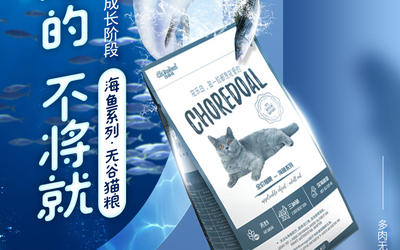 猫粮详情