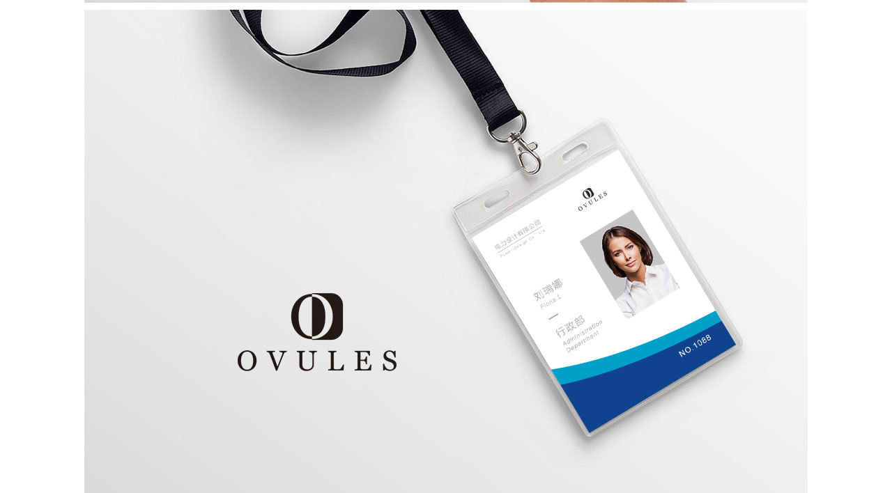 ovules图1