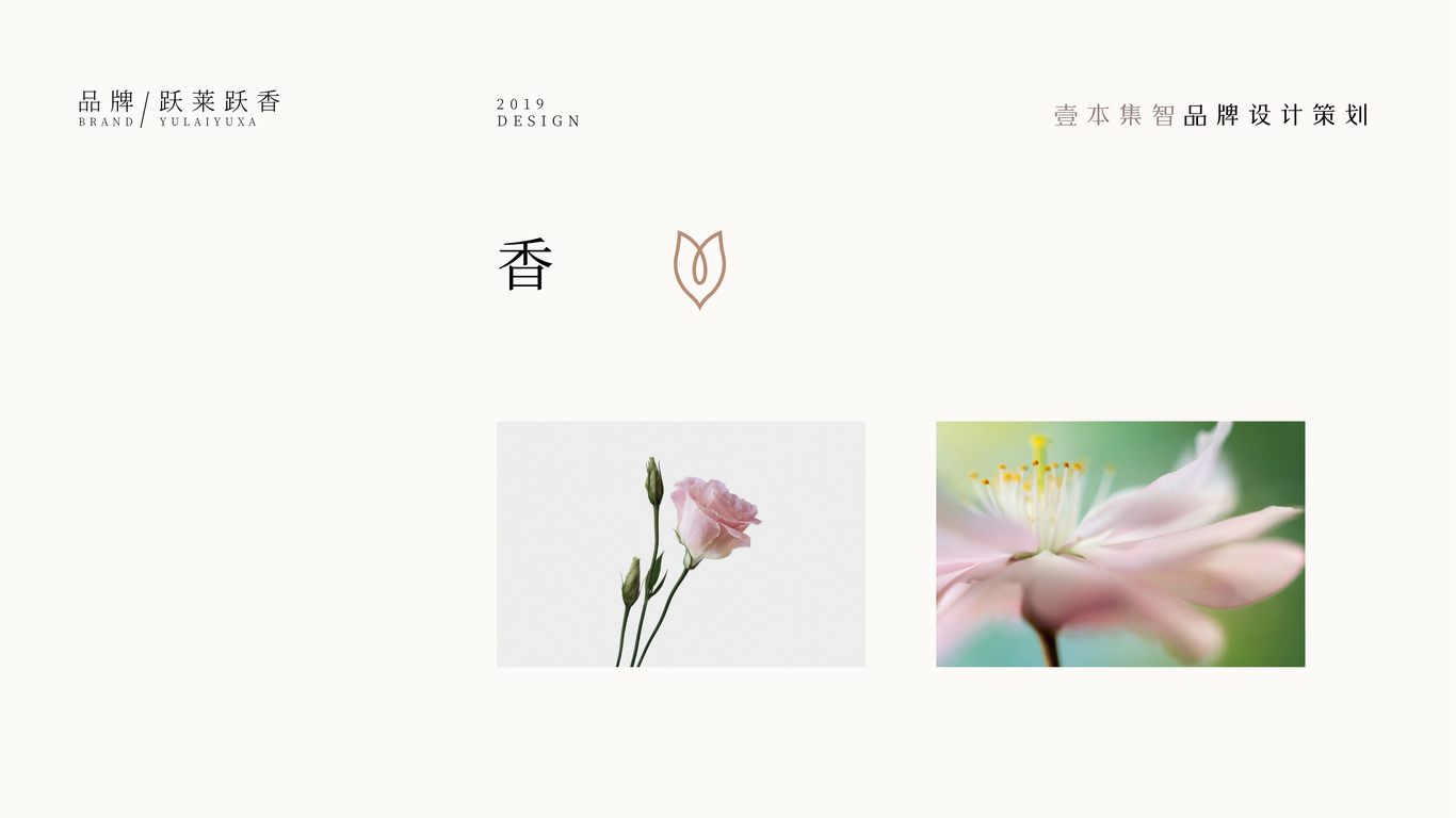 跃莱跃香LOGO设计图3