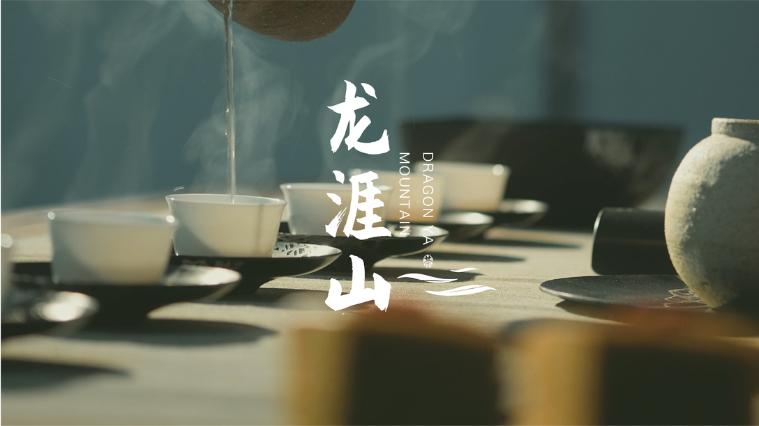 龍涯山 茶葉品牌設(shè)計(jì)圖13