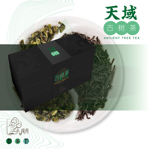 云南古樹茶品牌VI設(shè)計(jì)圖31