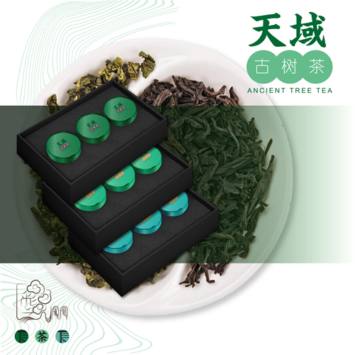 云南古樹茶品牌VI設(shè)計(jì)圖30