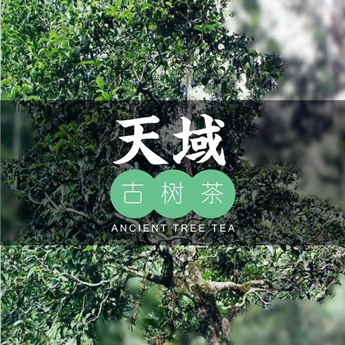 云南古樹茶品牌VI設(shè)計