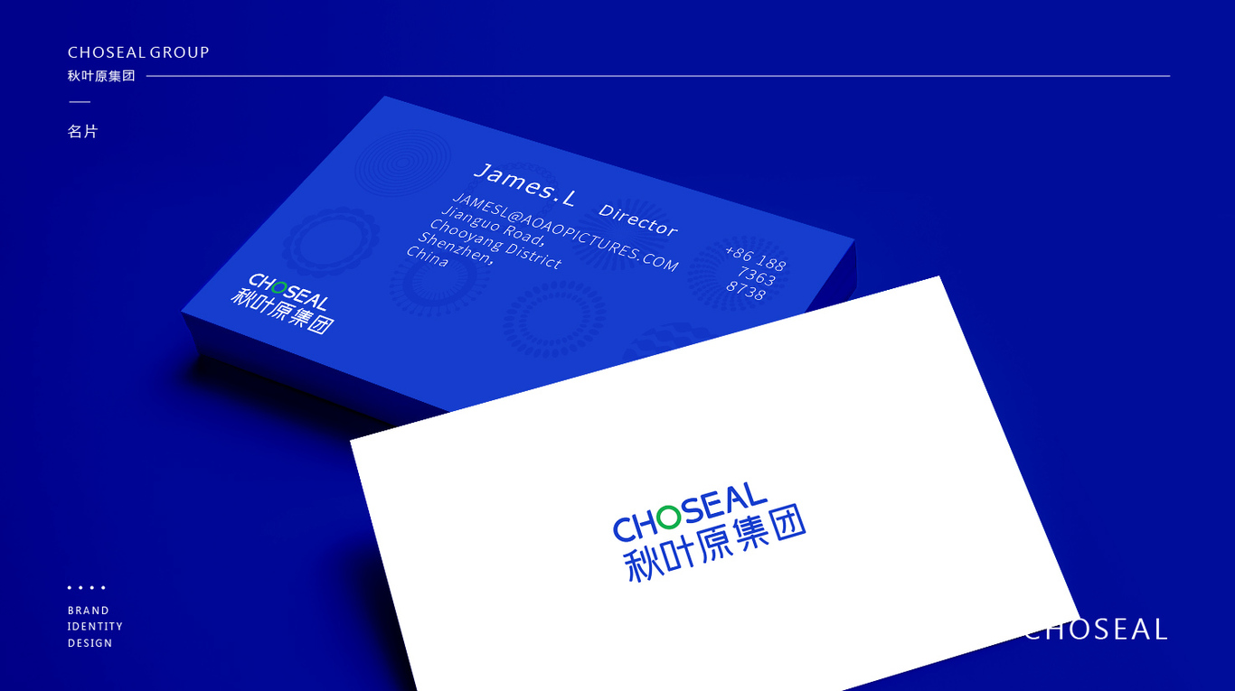 CHOSEAL秋葉原集團圖13