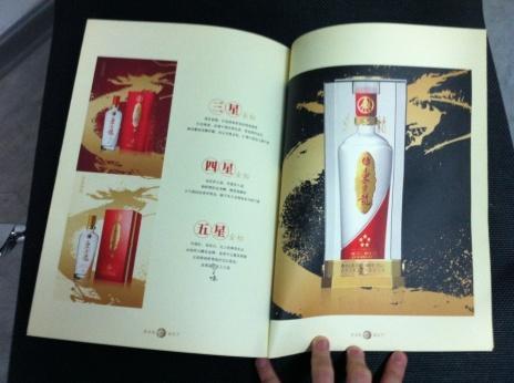 建發(fā)酒業(yè)東方龍畫冊圖10