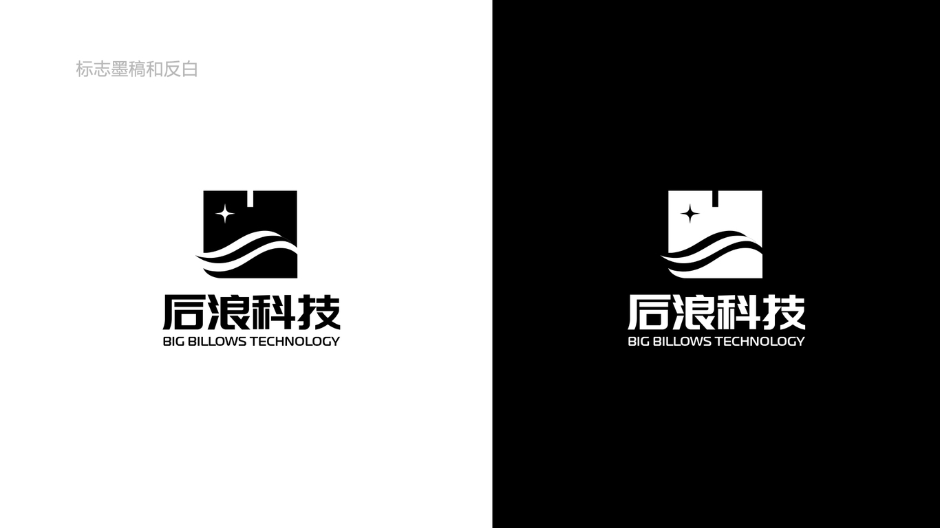 后浪科技電商平臺LOGO設(shè)計中標圖3