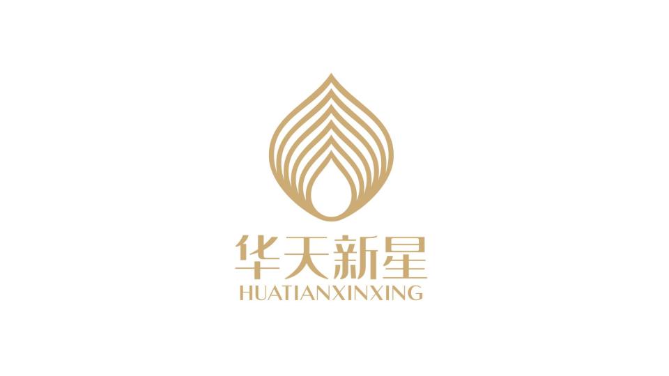 華天新星護(hù)膚品代理公司LOGO設(shè)計(jì)