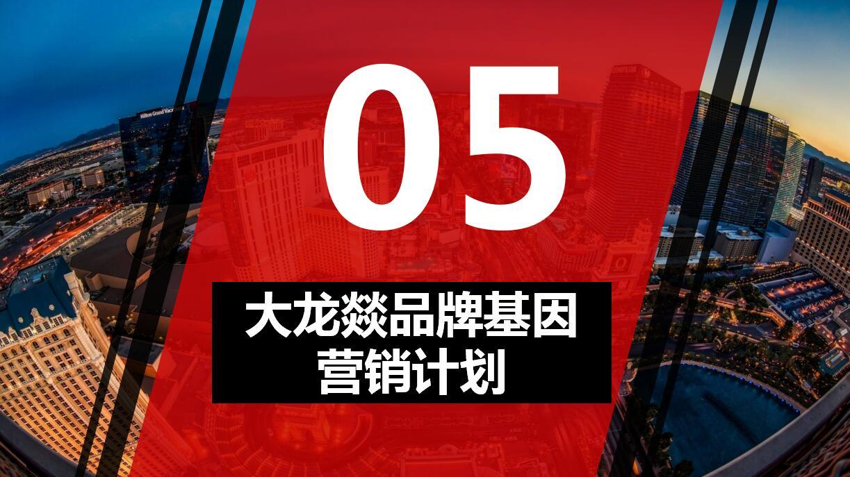 策馬全案《大龍燚火鍋加盟方案》哈爾濱策馬企業(yè)營(yíng)銷(xiāo)策劃有限公司圖13