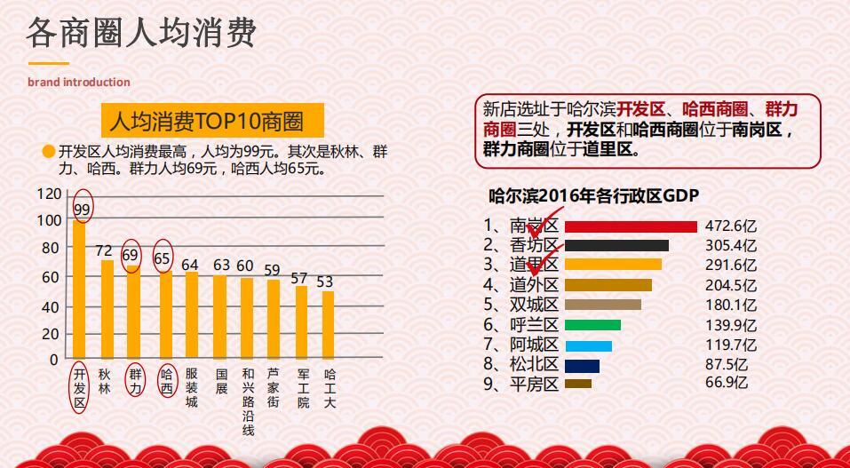 策马全案《大龙燚哈尔滨方案》哈尔滨策马企业营销策划有限公司图10