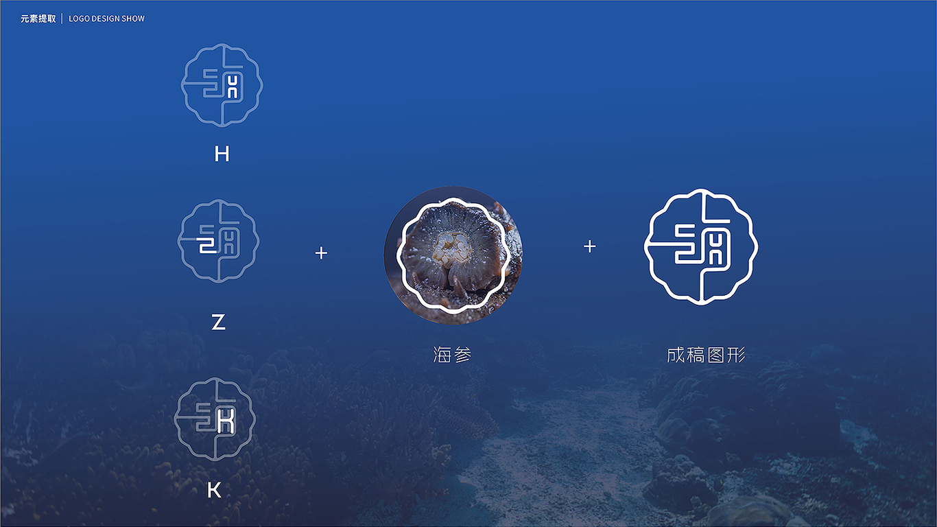 海郅康高端海參品牌LOGO設(shè)計(jì)中標(biāo)圖5