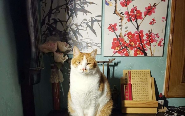 详情参考