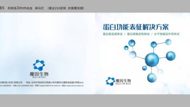 魔因科技折页设计