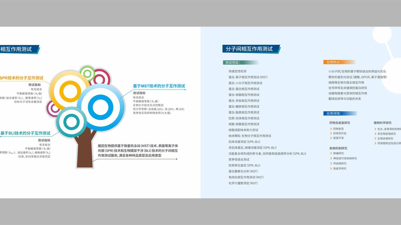 魔因生物畫冊設計中標圖3