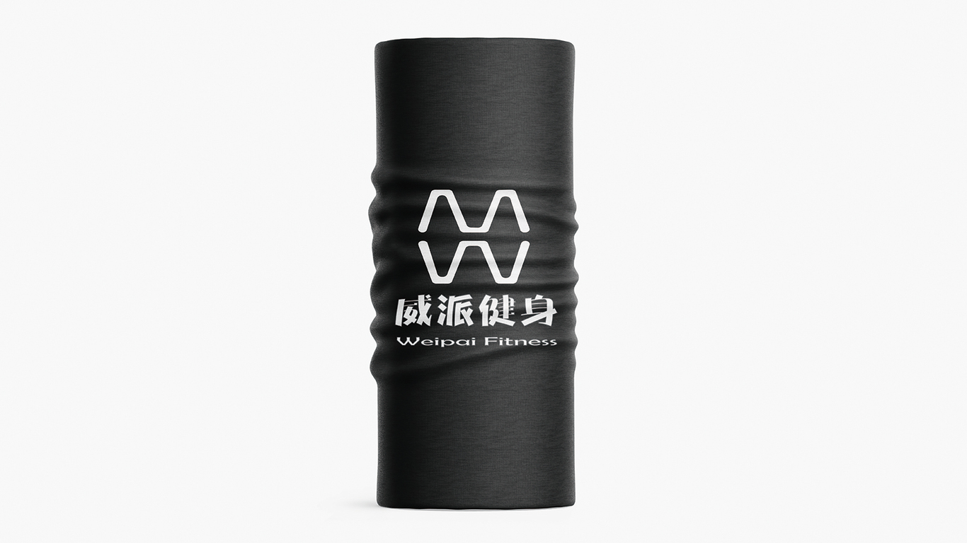 威派健身图2