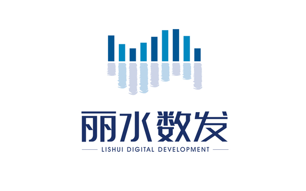 丽水数发LOGO设计