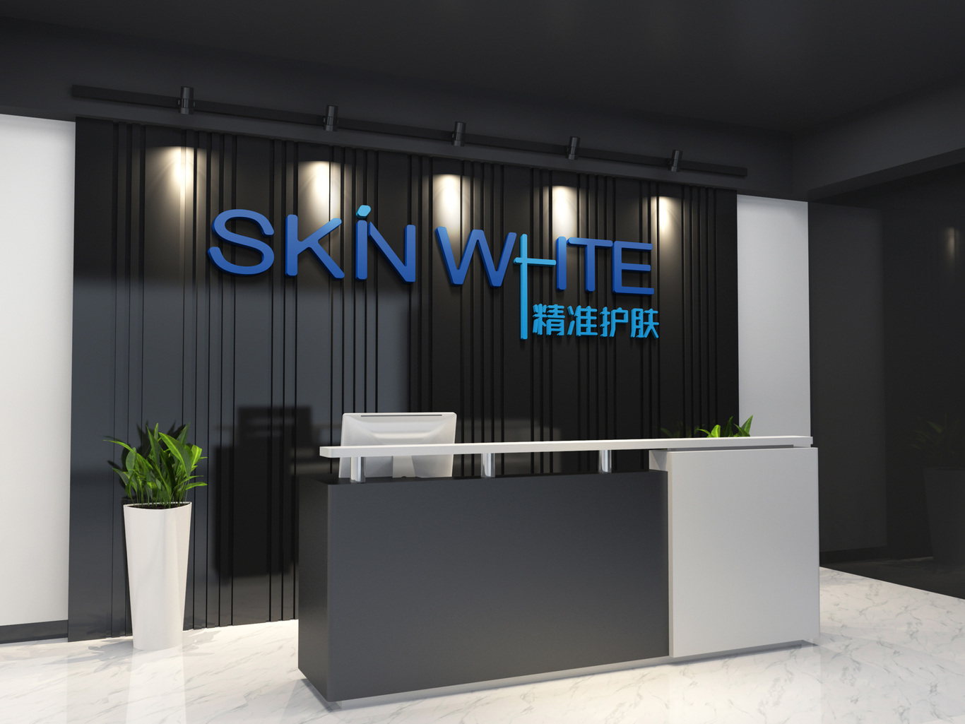 skin white 精准护肤  LOGO设计图0