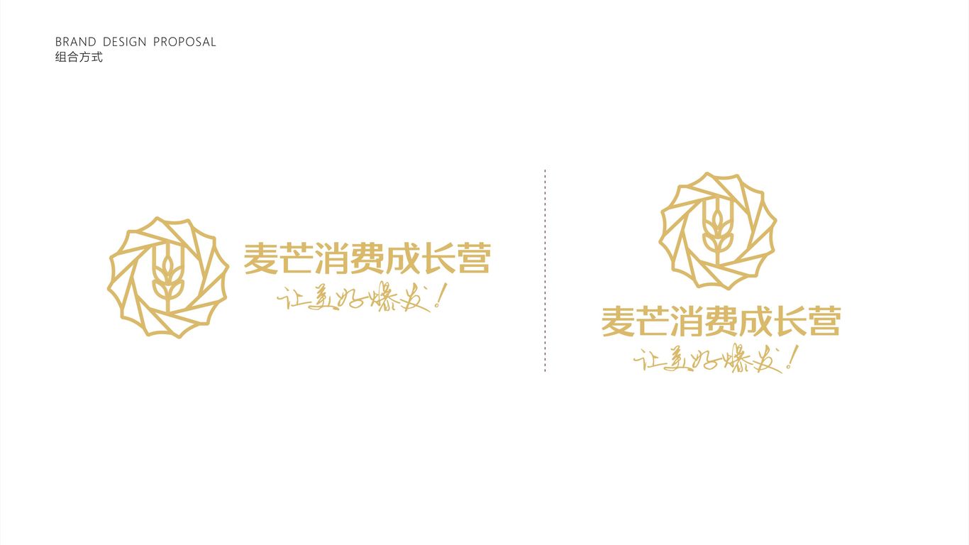 麥芒消費成長營培訓類機構LOGO設計中標圖2