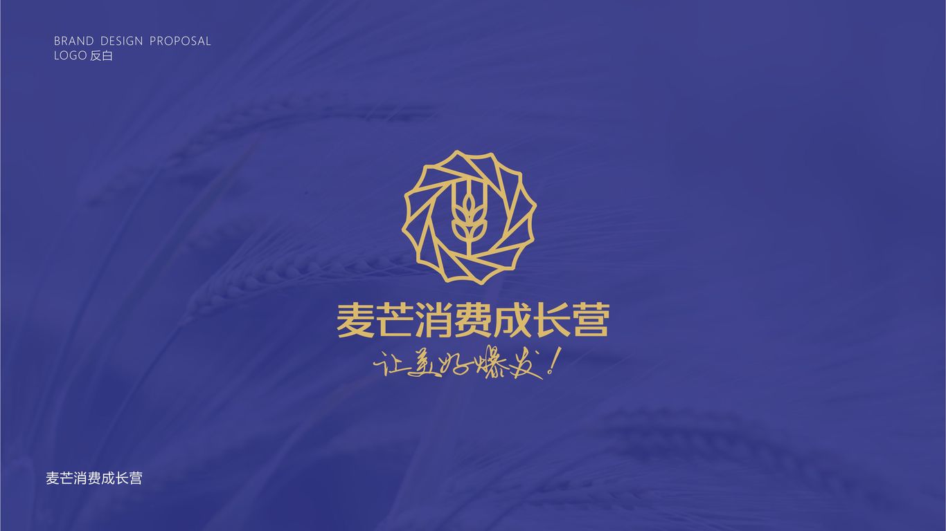 麥芒消費成長營培訓類機構LOGO設計中標圖0