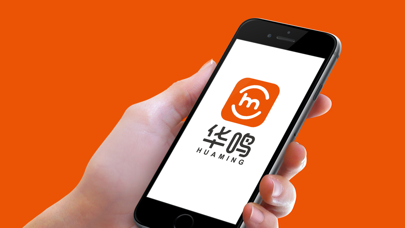 華鳴互聯網類LOGO設計中標圖6