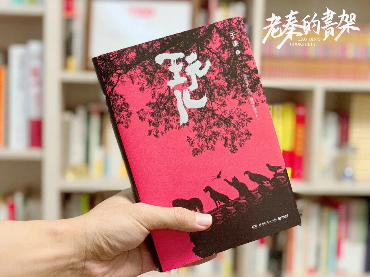 老秦的书架图2