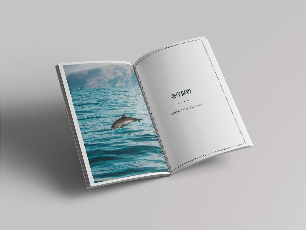 廣外《太平洋島國動(dòng)態(tài)》期刊設計圖4