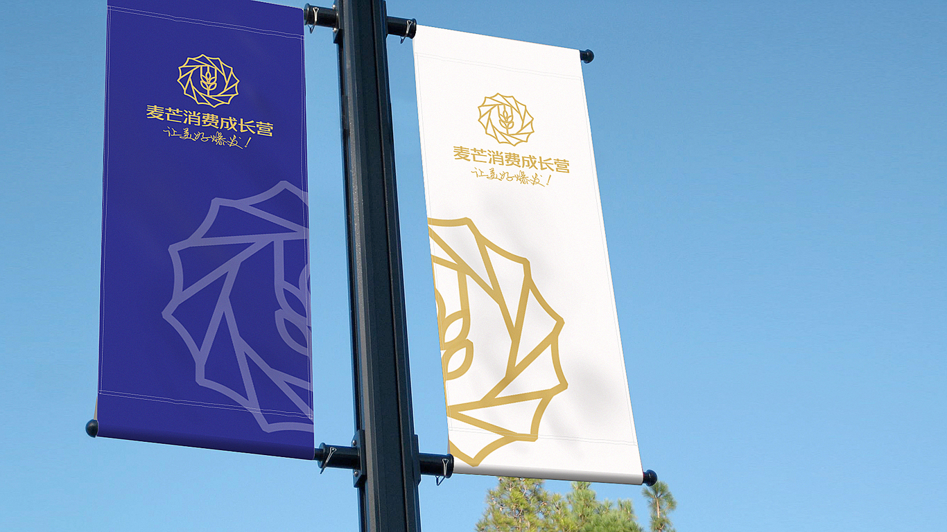 麥芒消費成長營培訓類機構LOGO設計中標圖6