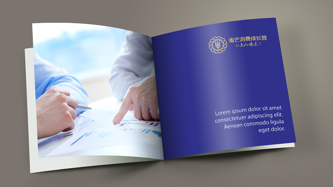 麥芒消費成長營培訓類機構LOGO設計中標圖7
