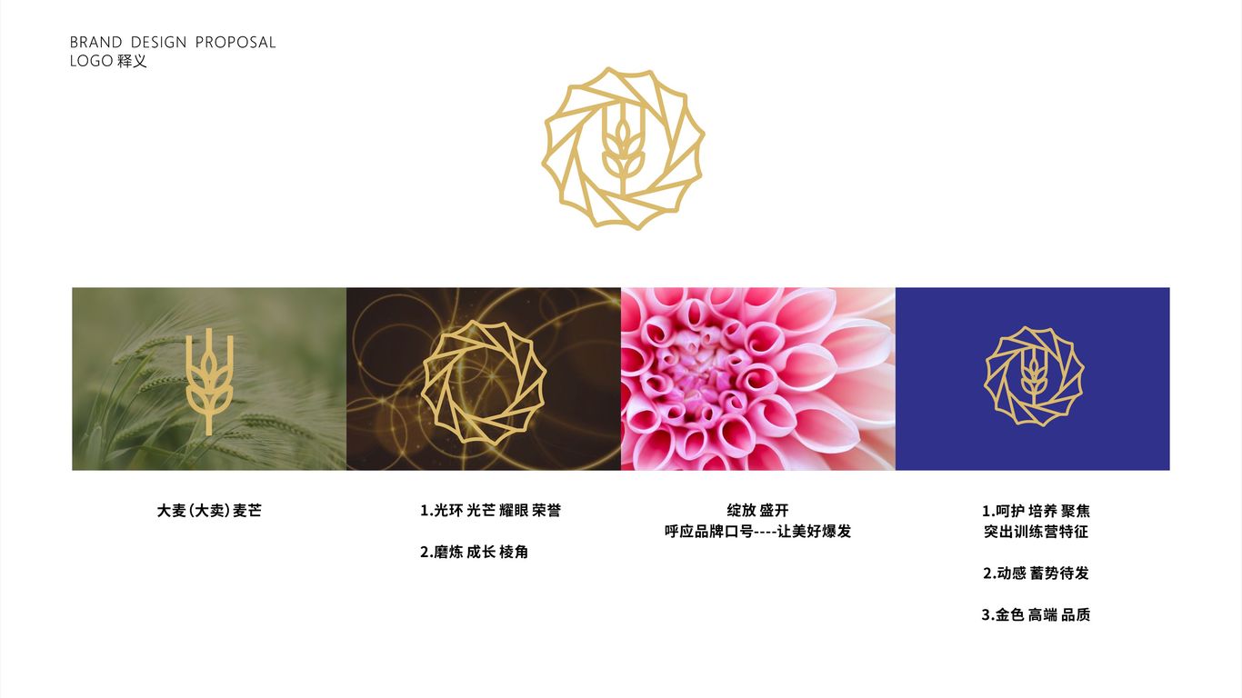 麥芒消費成長營培訓類機構LOGO設計中標圖1