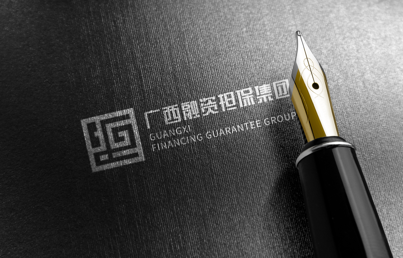 广西融资担保集团LOGO设计图4