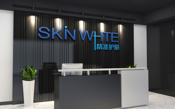 skin white 精准护肤  LOGO设计