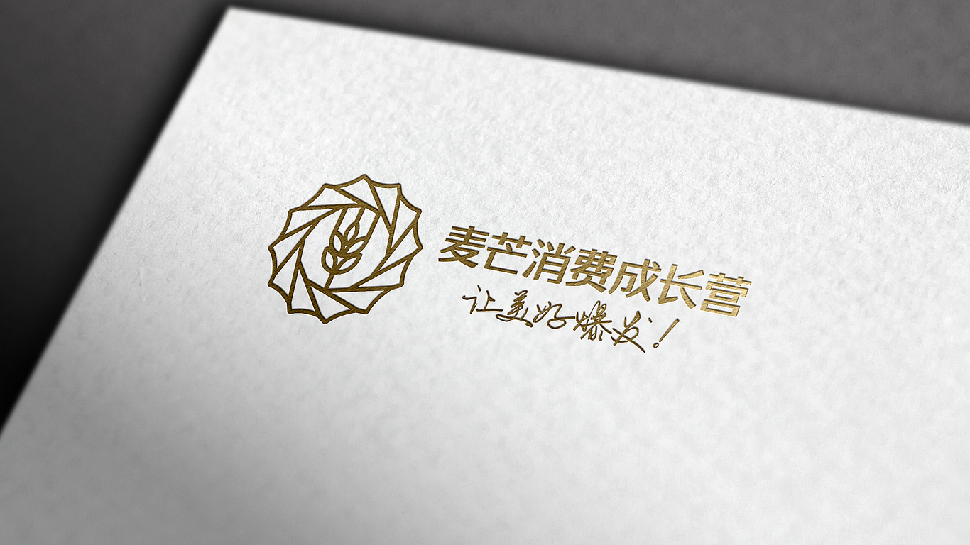 麥芒消費成長營培訓類機構LOGO設計中標圖14