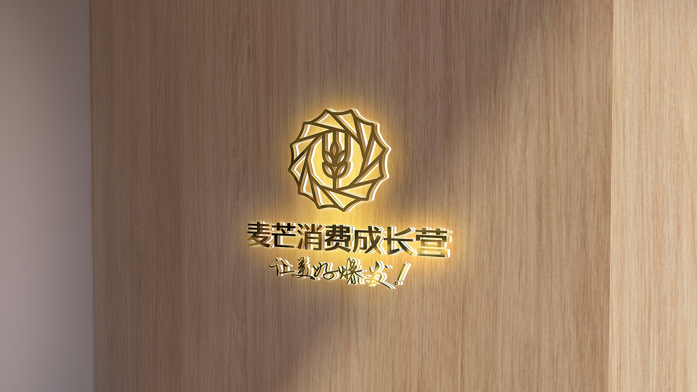 麥芒消費成長營培訓類機構LOGO設計中標圖10