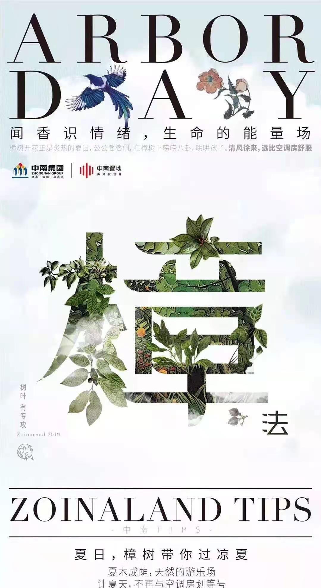 楠 樟图0