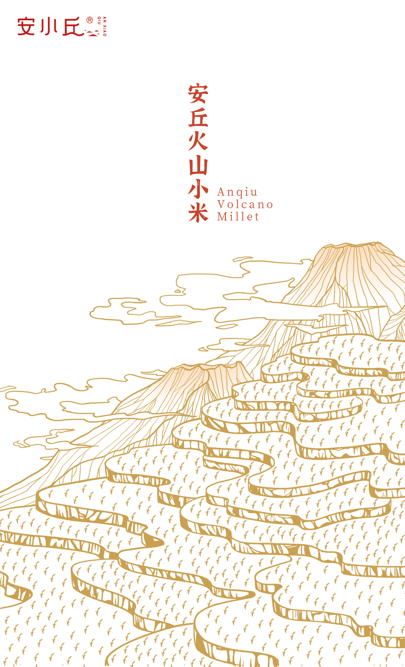 安小丘火山小米包裝設(shè)計(jì)圖5