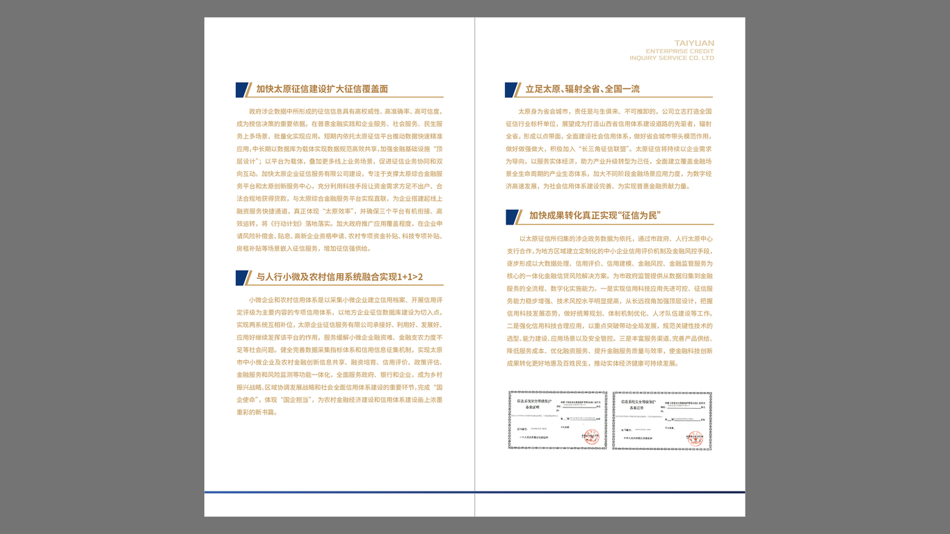 企業(yè)征信折頁設(shè)計中標圖3