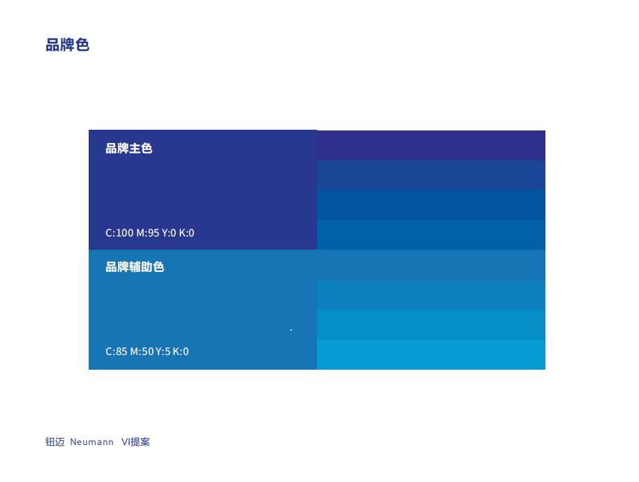 Neumann醫(yī)療器械研發(fā)品牌識別VI設計圖3