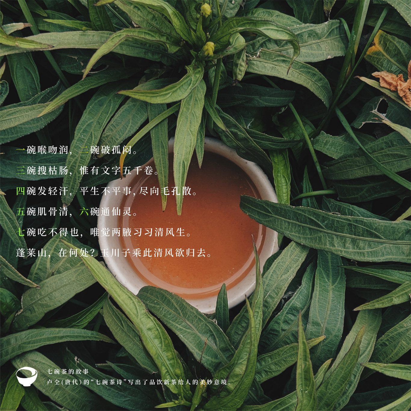 茶饮店 品牌设计图1