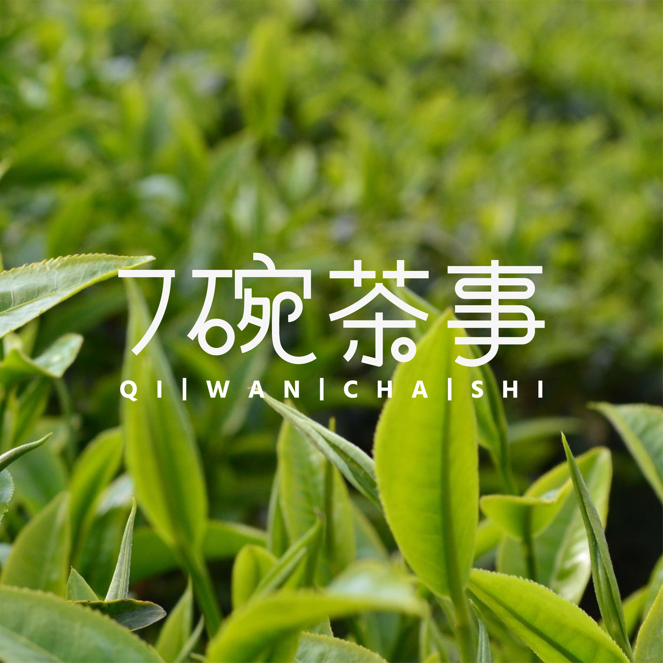茶饮店 品牌设计图0