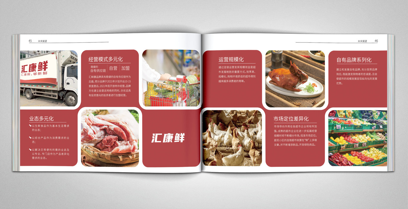 生鲜类 企业图册图16